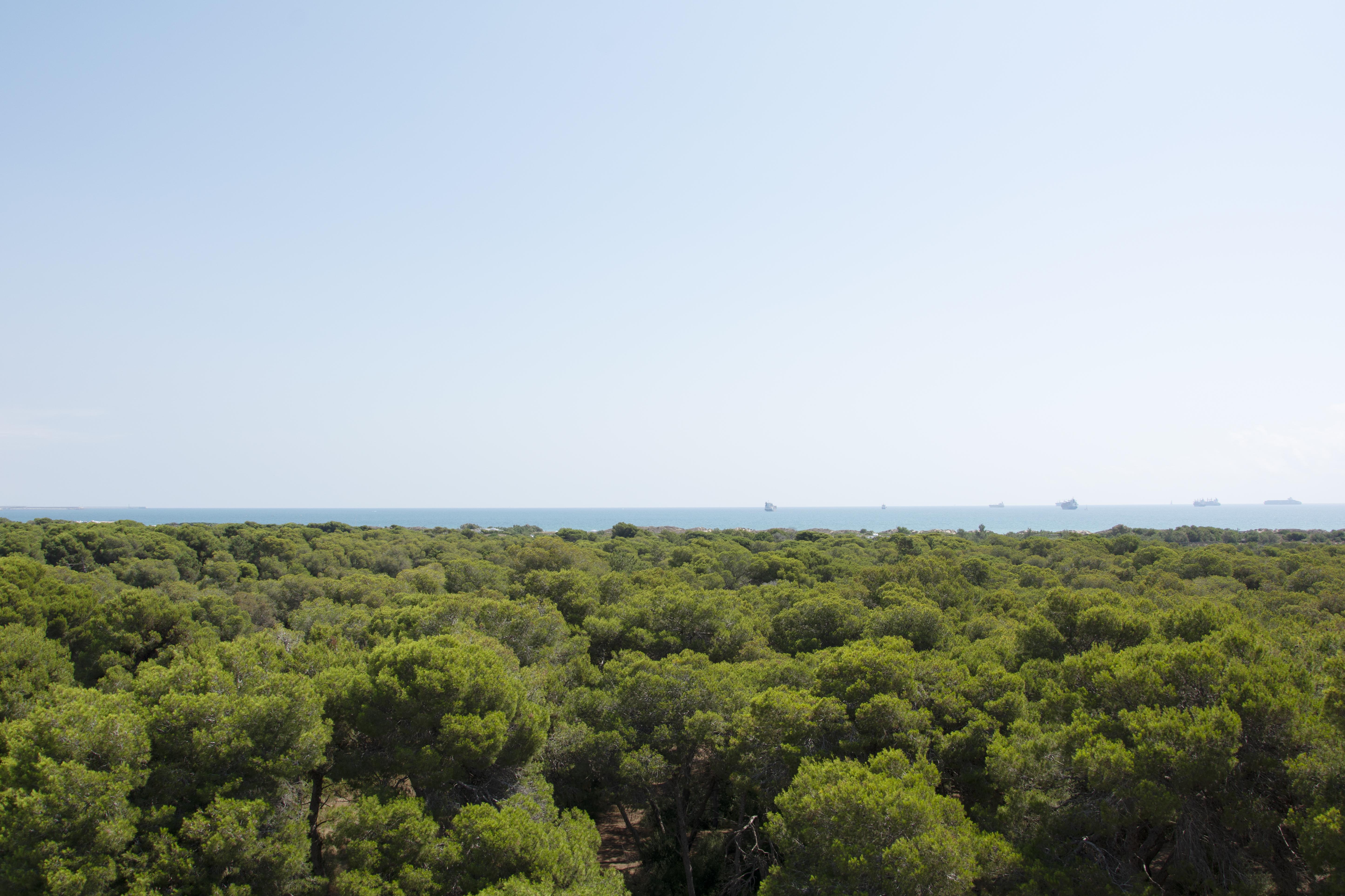 You & Co. Saler Beach Boutique Hotel Valencia Exterior foto